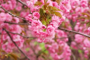 嘉兴平湖5线下个人借款平台一站式服务，轻松解决资金难题