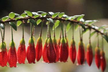 嘉兴平湖5零用贷短借：轻松解决临时资金需求