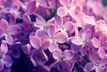 嘉兴平湖5企业急用钱贷款攻略：快速融资解燃眉之急